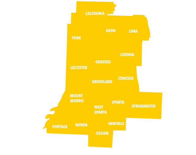 Livingston County Contest